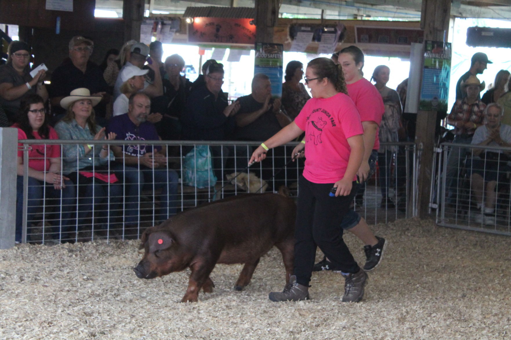 DC Fair Sunday 014.JPG
